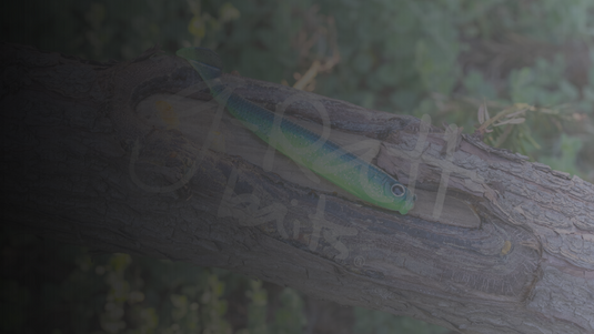 Watch our baits in action