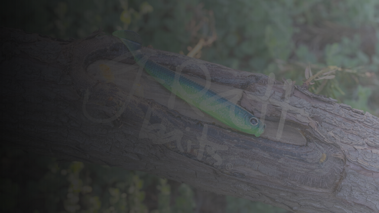 Watch our baits in action