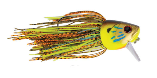 Fighting Fish